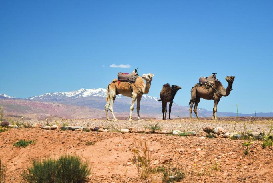 Amazigh Family Riad Imlil  Luaran gambar